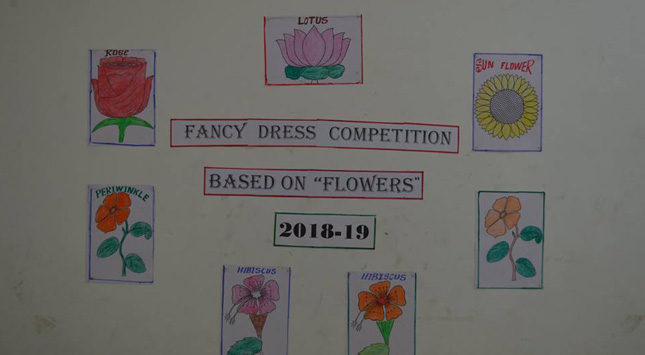 FANCY DRESS COMPETITION